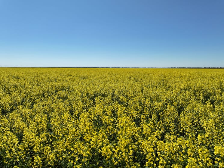 1630 Winlaton Road Winlaton VIC 3585 - Image 3