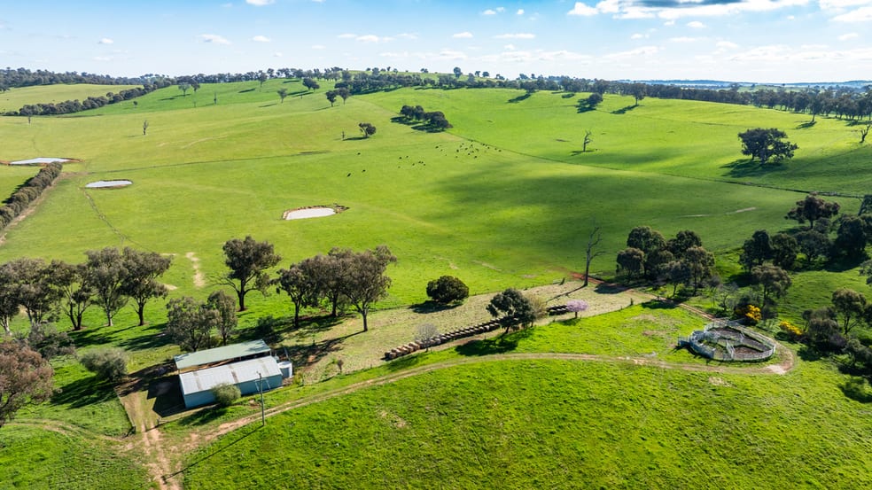 Click to view all images 295 Hovell Road Bungowannah NSW 2640 - Image 1