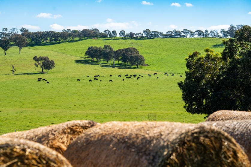 Click to view all images 295 Hovell Road Bungowannah NSW 2640 - Image 2