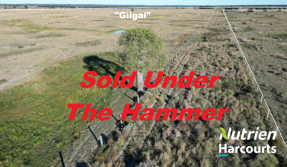 Click to view all images 611 Red Hill Road Chinchilla QLD 4413 - Image 1