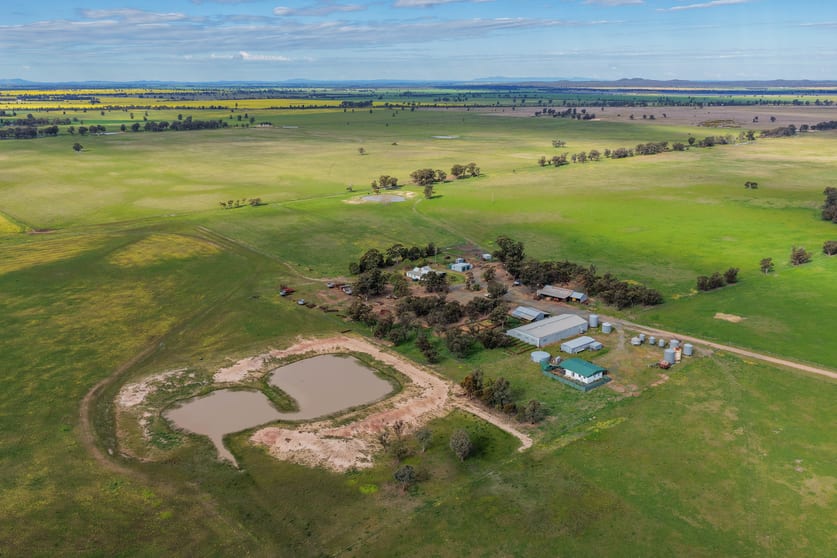 Click to view all images "Greendale" 536 Wyrra Lane West Wyalong NSW 2671 - Image 3