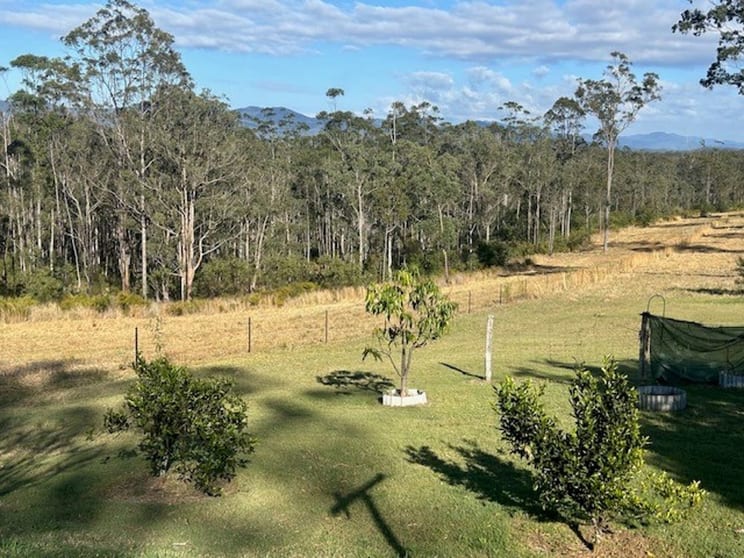 6 Corangula Road Corangula NSW 2440 - Image 3