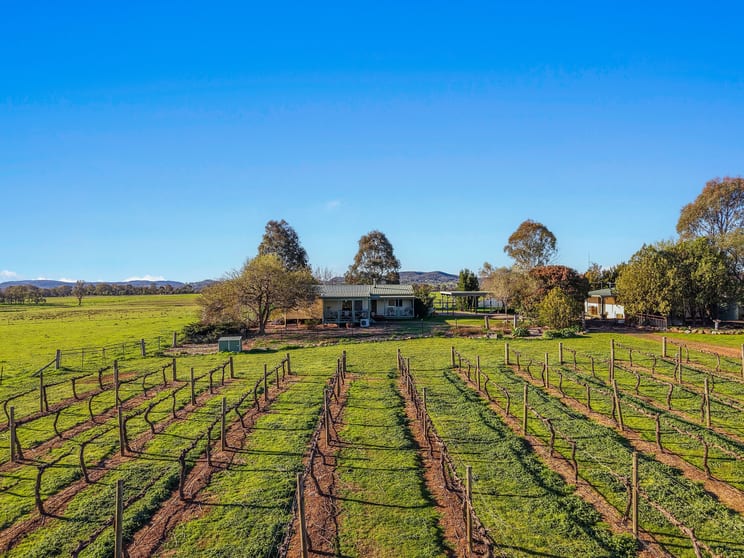 161 Stoney Creek Road Mudgee NSW 2850 - Image 2