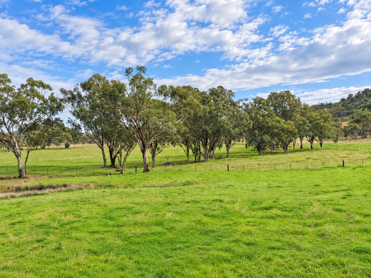 Click to view all images 88 Mount Cobla Road Currabubula NSW 2342 - Image 1