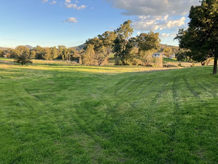 Click to view all images 88 Mount Cobla Road Currabubula NSW 2342 - Image 2