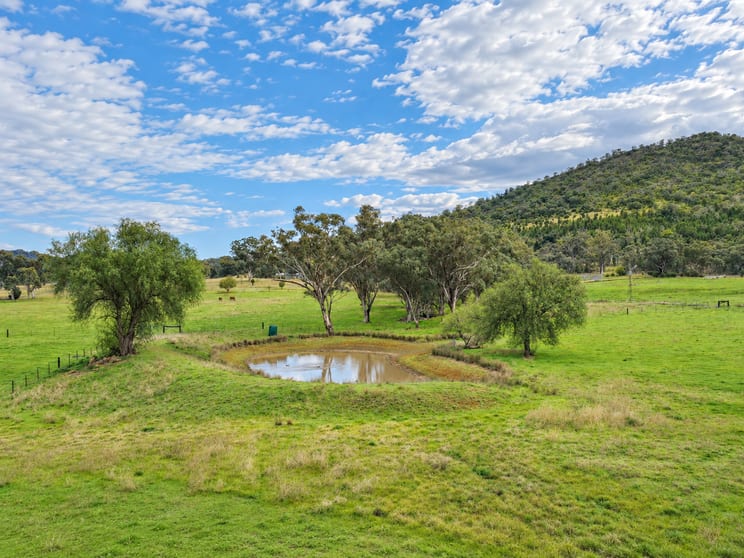 Click to view all images 88 Mount Cobla Road Currabubula NSW 2342 - Image 3