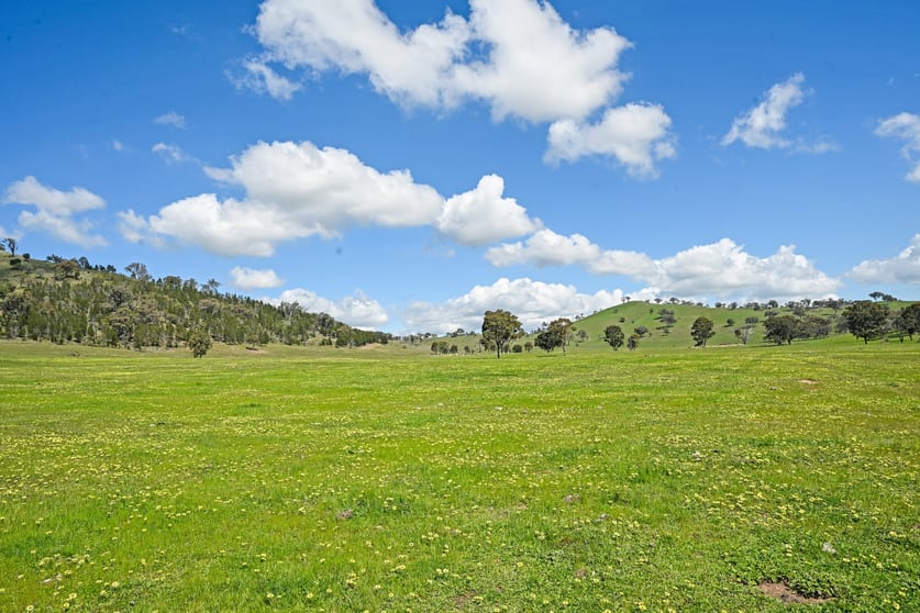 Click to view all images Gulgong NSW 2852 - Image 2
