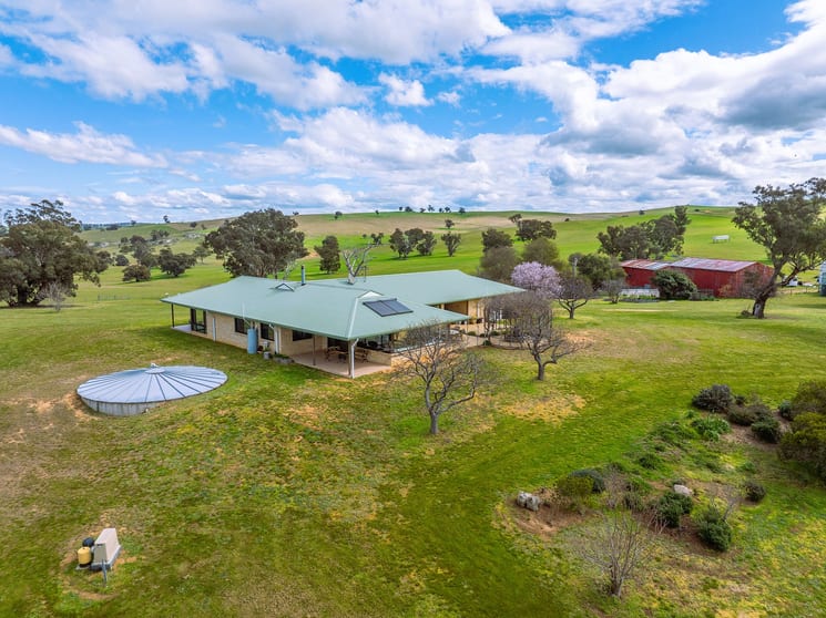 Click to view all images 146 Timaru Road Harden NSW 2587 - Image 1
