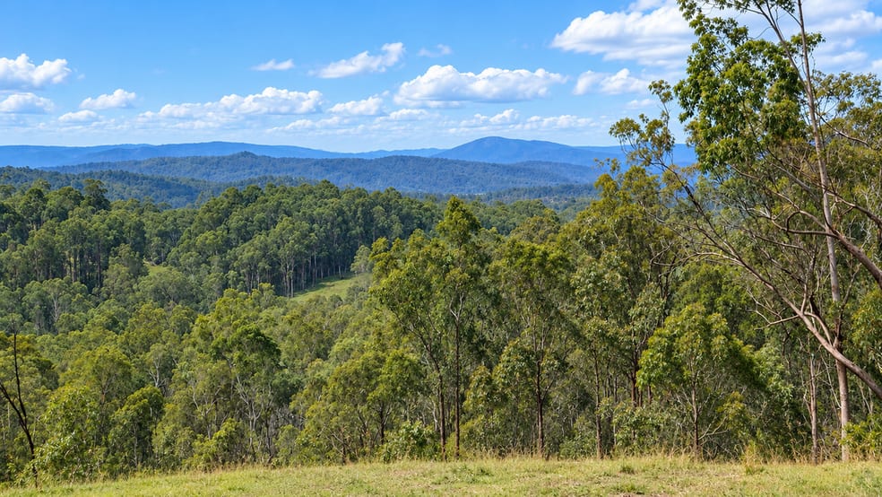 130 & 132 Mud Flat Road Drake NSW 2469 - Image 3
