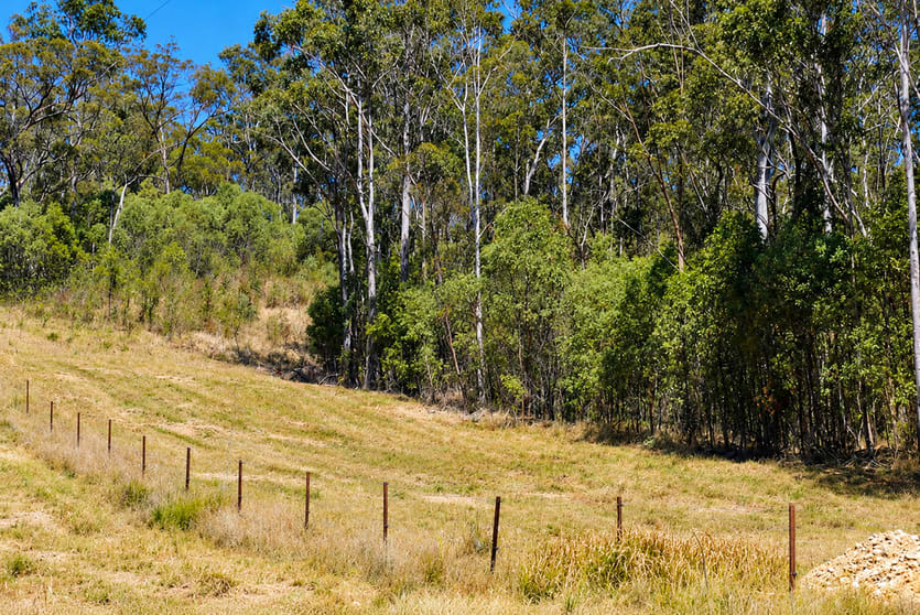 130 & 132 Mud Flat Road Drake NSW 2469 - Image 2