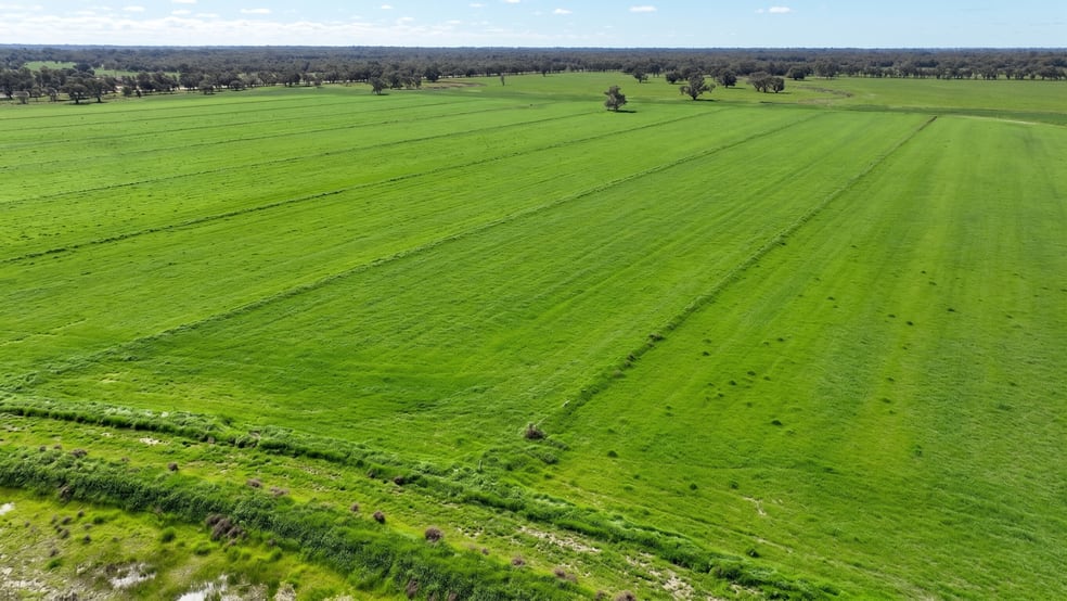 Cobwell Station Sandy Bridge Road Barham NSW 2732 - Image 3