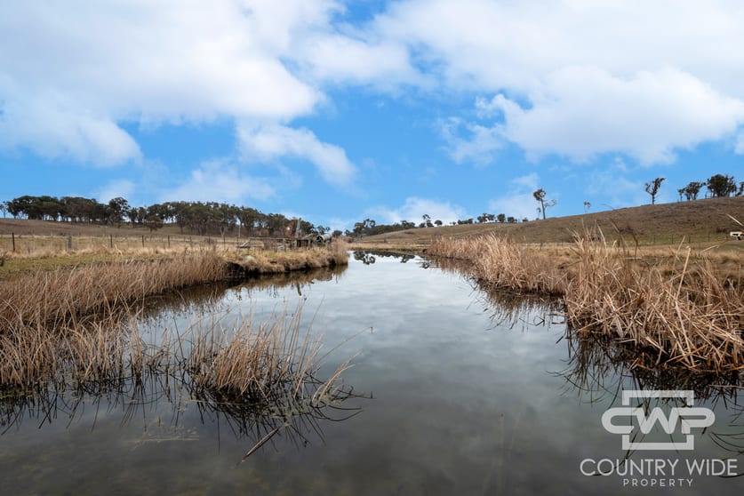 916 Emmaville Road Glen Innes NSW 2370 - Image 2