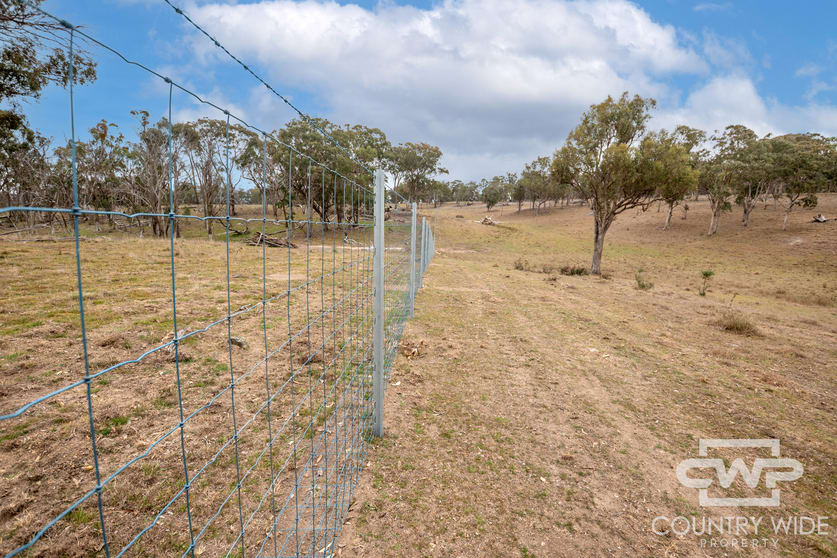 916 Emmaville Road Glen Innes NSW 2370 - Image 3