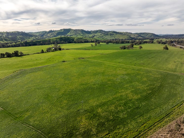 Click to view all images 11 Edwardstown Road South Gundagai NSW 2722 - Image 1