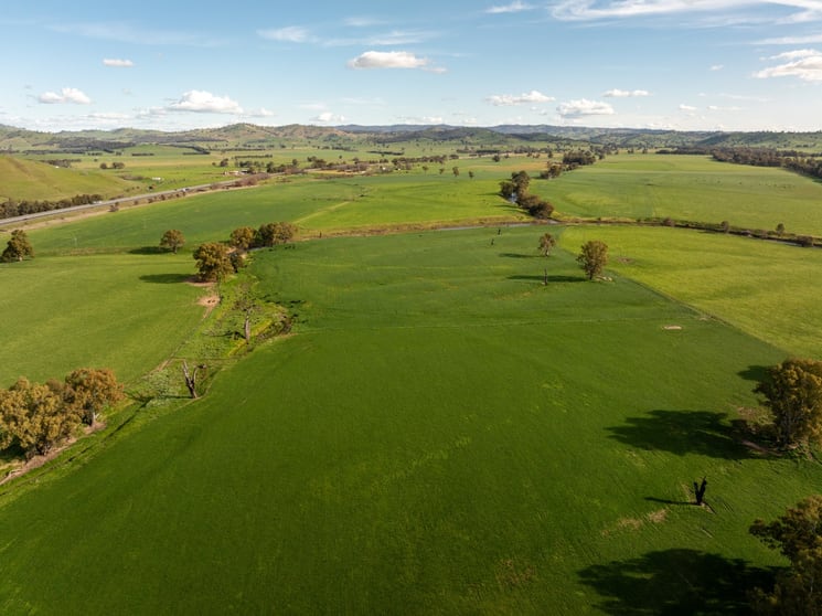 Click to view all images 11 Edwardstown Road South Gundagai NSW 2722 - Image 3