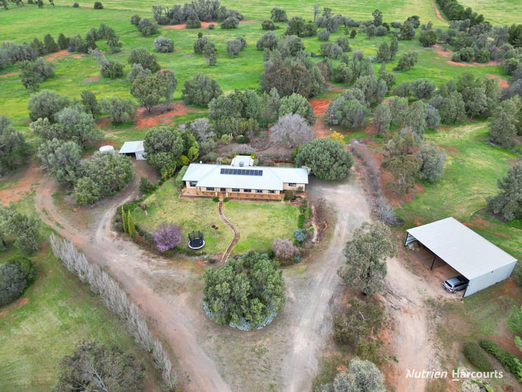 Click to view all images 'Arcadia Pines' 1484 Arcadia Lane Goolgowi NSW 2652 - Image 2