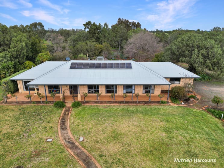 Click to view all images 'Arcadia Pines' 1484 Arcadia Lane Goolgowi NSW 2652 - Image 3