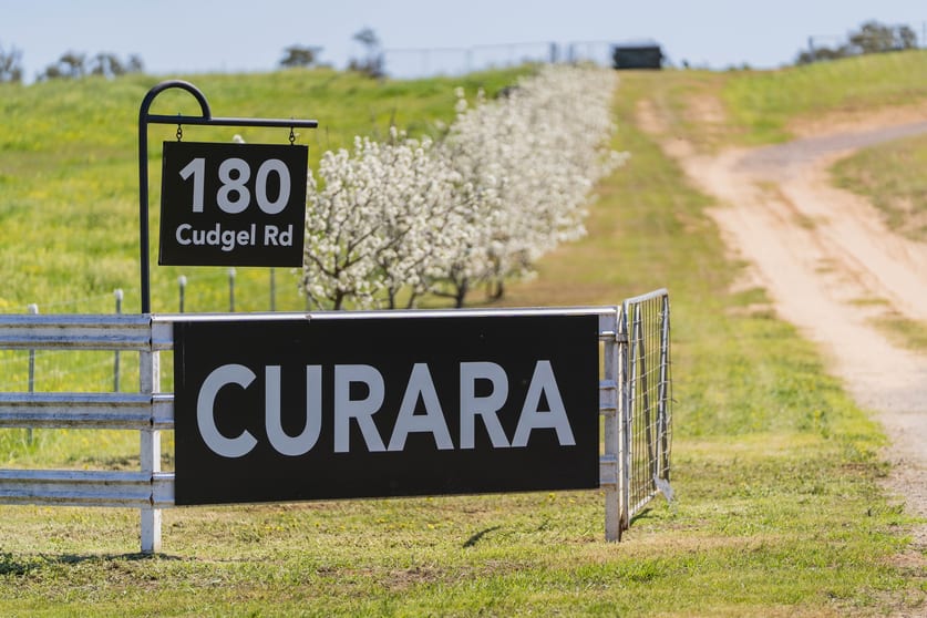 Click to view all images 180 Cudgel Road Cudgel NSW 2700 - Image 2