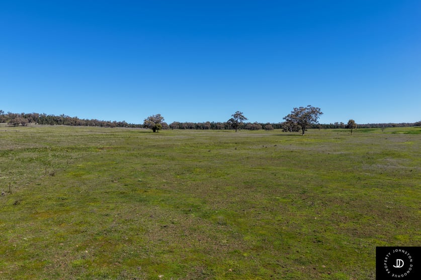 Click to view all images 3449 Wyuna Road Mullaley NSW 2379 - Image 2