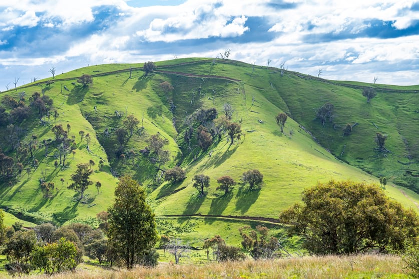 Click to view all images . Sirls Road Bethanga VIC 3691 - Image 3