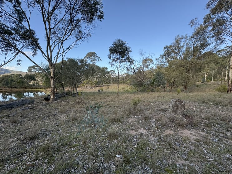 Click to view all images 50, 660 Horseshoe Road Martindale NSW 2328 - Image 3