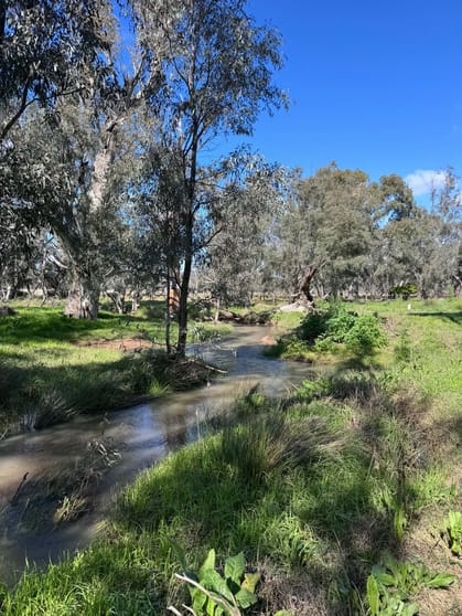 Click to view all images 86 Hunts Crossing Road Parkes NSW 2870 - Image 2