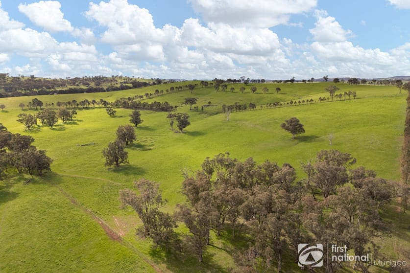 Click to view all images 294 Wollar Road Mudgee NSW 2850 - Image 1