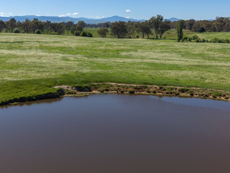 Click to view all images 740 Long Lane Mansfield VIC 3722 - Image 1