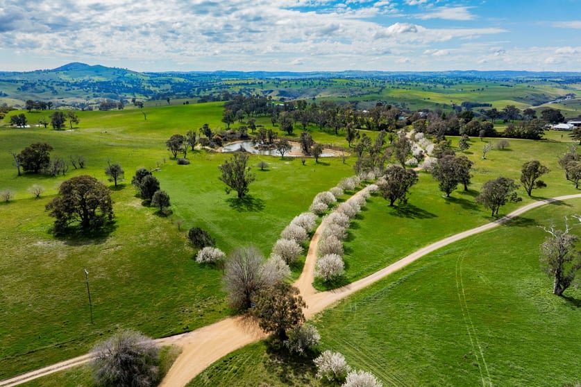Click to view all images 402 Euralie Road Yass NSW 2582 - Image 3