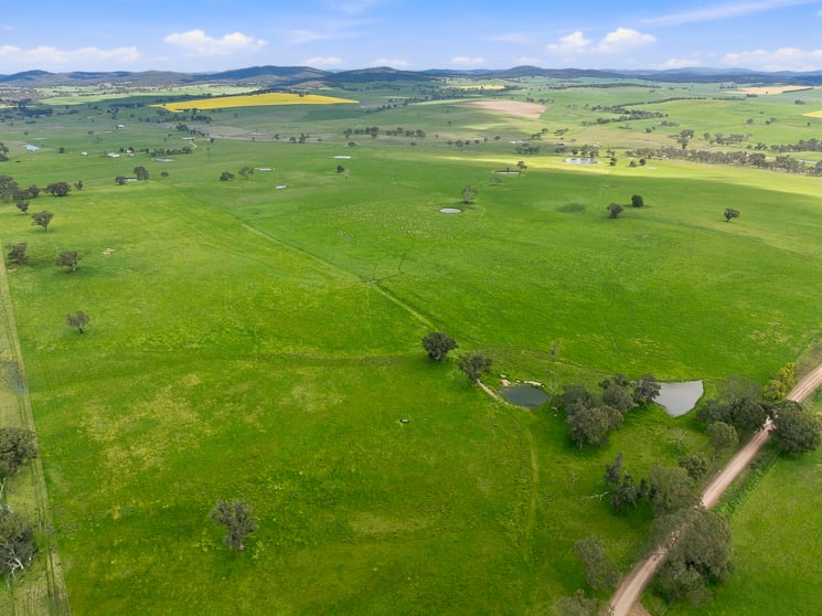 1784 Gumble Road Gumble NSW 2865 - Image 2