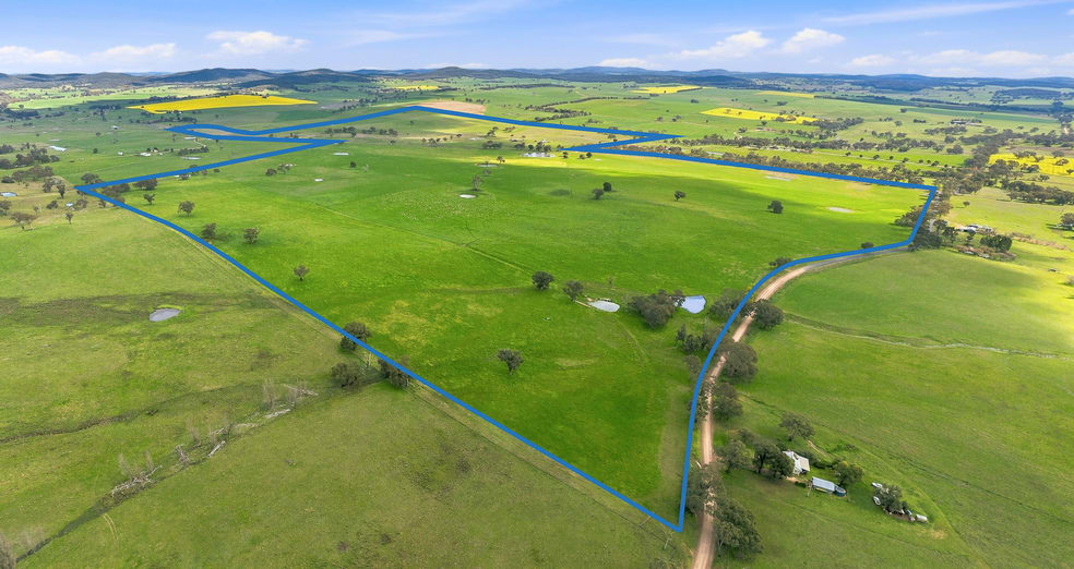 1784 Gumble Road Gumble NSW 2865 - Image 3