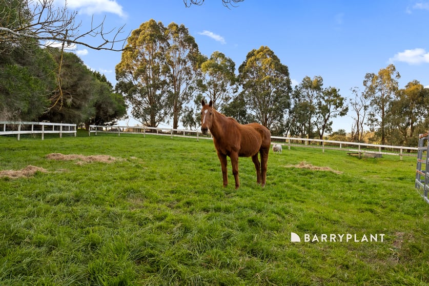 Click to view all images 120 Stock Road Drouin West VIC 3818 - Image 3