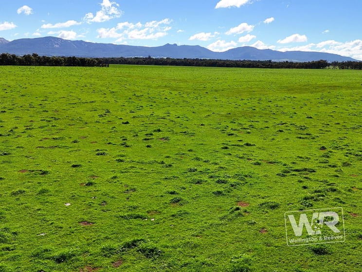 Lot 474 Yellanup Road Narrikup WA 6326 - Image 1