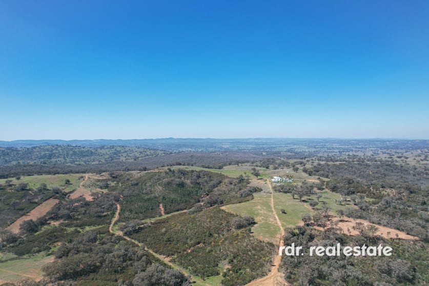 1237 Horton Road Upper Horton NSW 2347 - Image 1