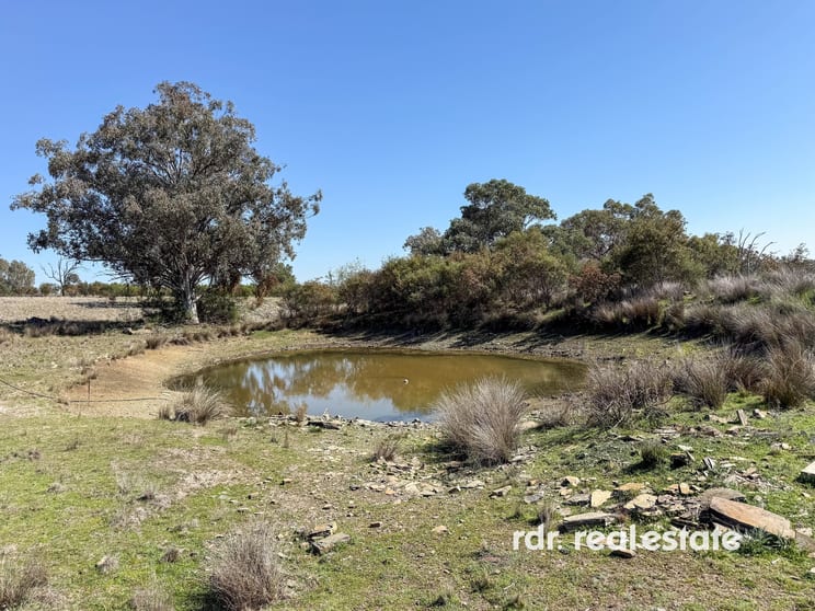 1237 Horton Road Upper Horton NSW 2347 - Image 2