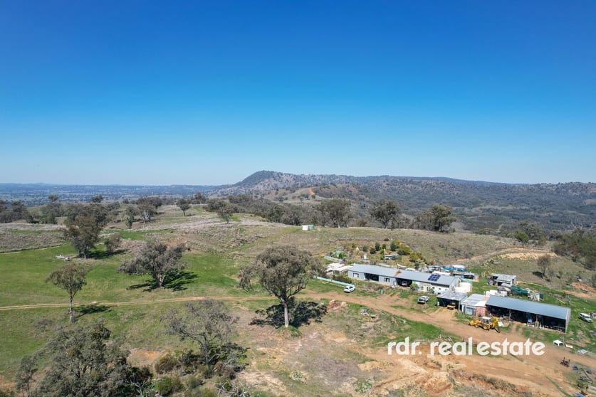 1237 Horton Road Upper Horton NSW 2347 - Image 3