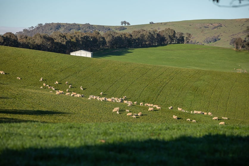 Click to view all images 641 Maragle Creek Road Tooma NSW 2642 - Image 2