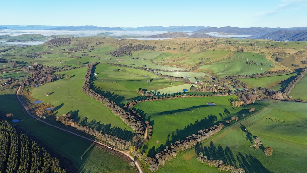 Click to view all images 641 Maragle Creek Road Tooma NSW 2642 - Image 3