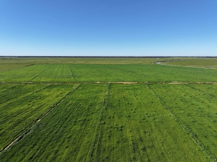 Click to view all images 'Gunyah' & 'Windera', 210 Bayliss Road & 177 Bayliss Road Deniliquin NSW 2710 - Image 3