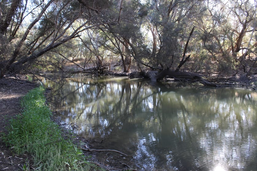 Click to view all images 9 ,10, 11 & 217 ROMA TAROOM ROAD Taroom QLD 4420 - Image 3