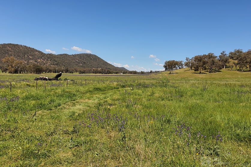 Click to view all images 1532 Castlereagh Highway Mudgee NSW 2850 - Image 1