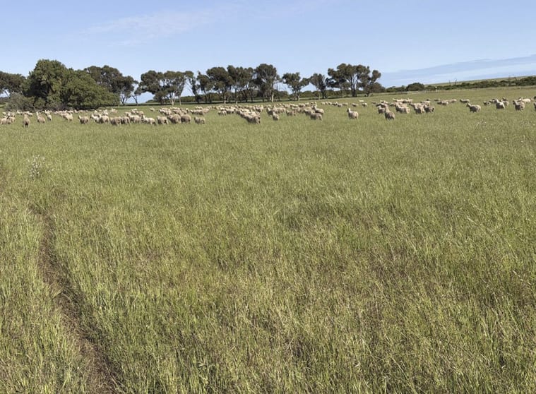 Click to view all images 339 Butcher Road Bookara WA 6525 - Image 3