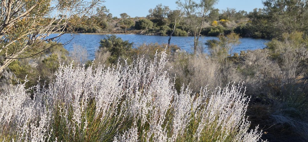 Click to view all images 300 Launer Road Eganu WA 6515 - Image 2