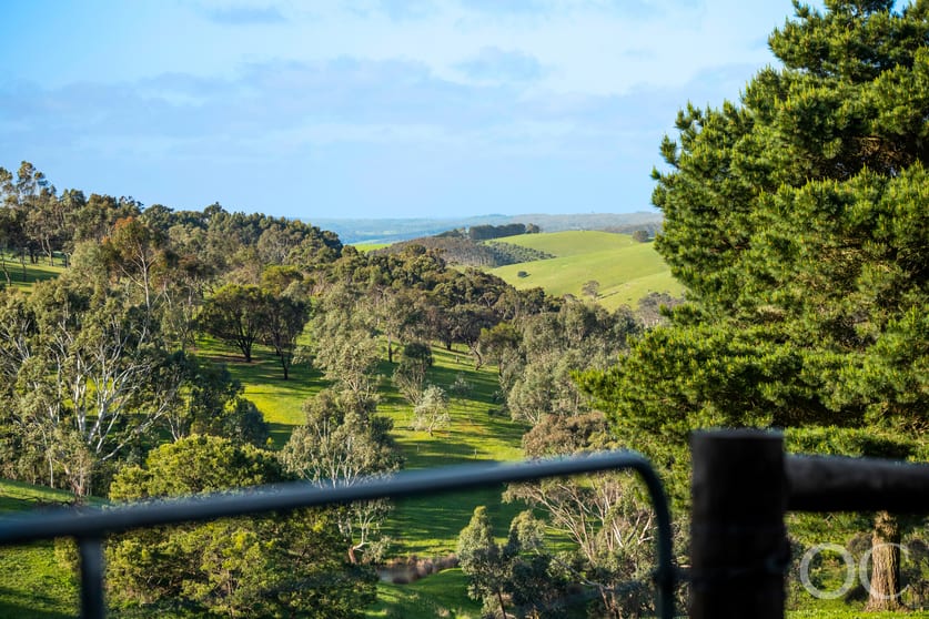 Click to view all images 379 Louds Hill Road Willunga South SA 5172 - Image 2