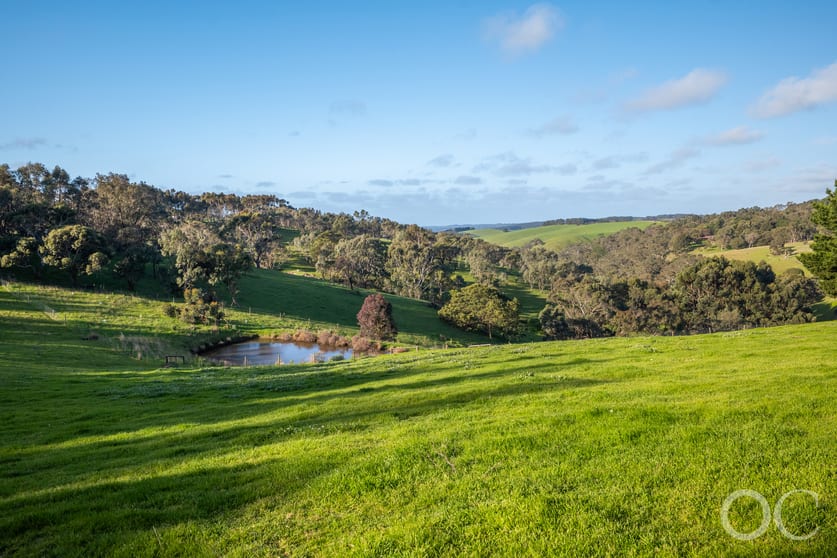 Click to view all images 379 Louds Hill Road Willunga South SA 5172 - Image 3