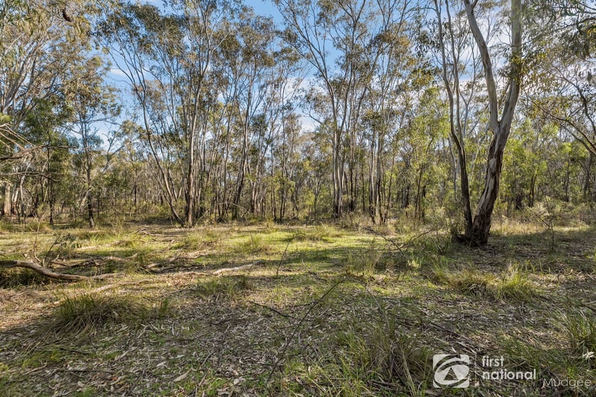 192 Tillie Willie Road Coolah NSW 2843 - Image 3