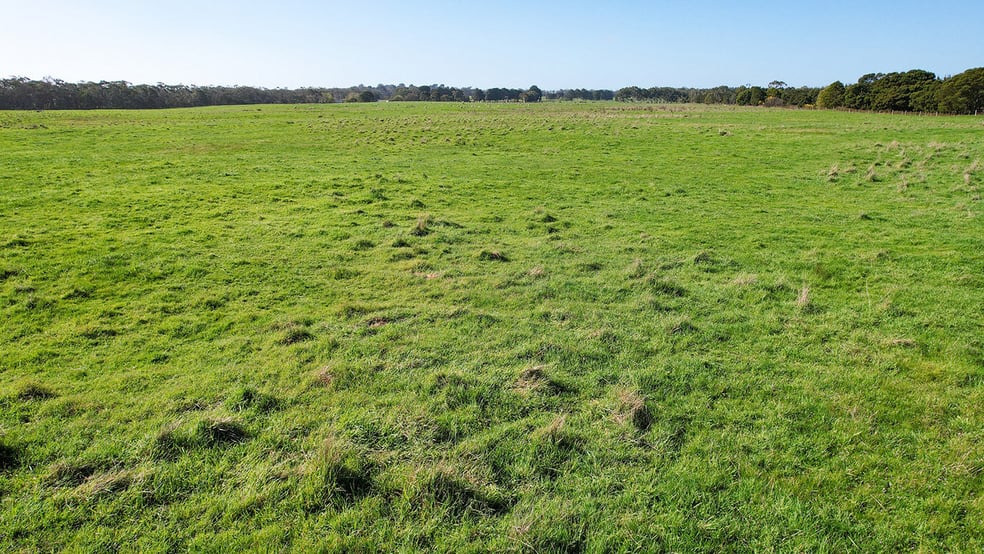 Lovetts Lane Heywood VIC 3304 - Image 2
