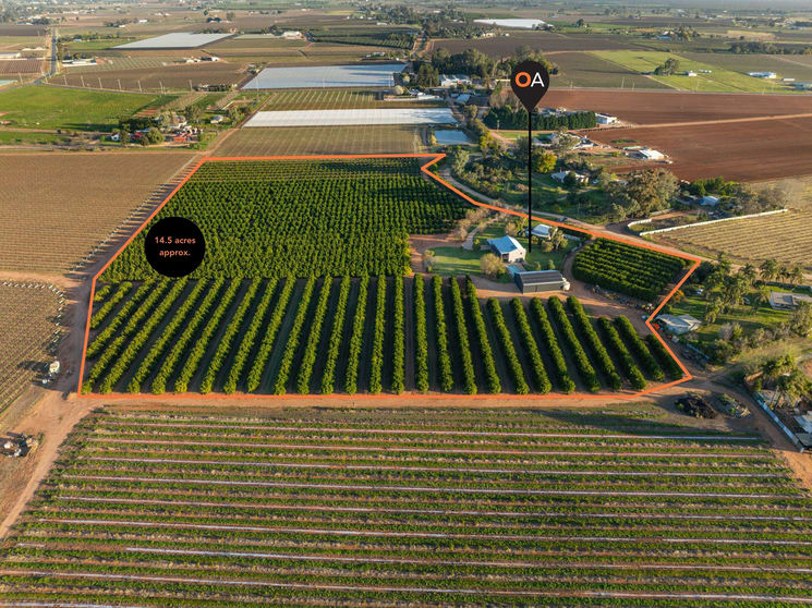 Click to view all images 46 Hollins Road Red Cliffs VIC 3496 - Image 2