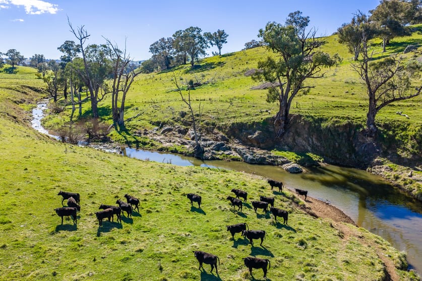 Click to view all images 376 Boondaroo Road Mandurama NSW 2792 - Image 2