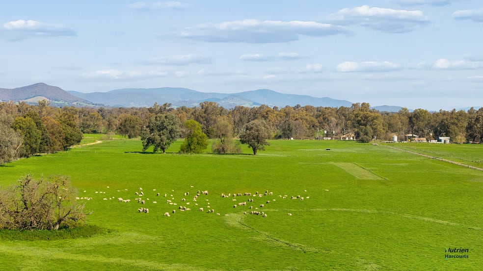 Click to view all images 1028 Kilfeera Road Benalla VIC 3672 - Image 2